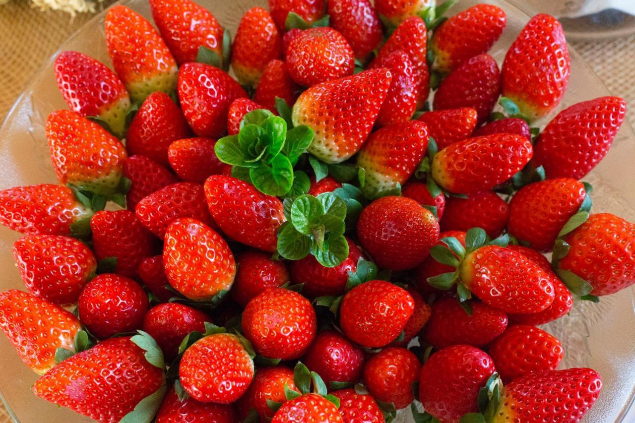 Agroturismo Son Vives Menorca - Adults Only Ferreries Eksteriør billede